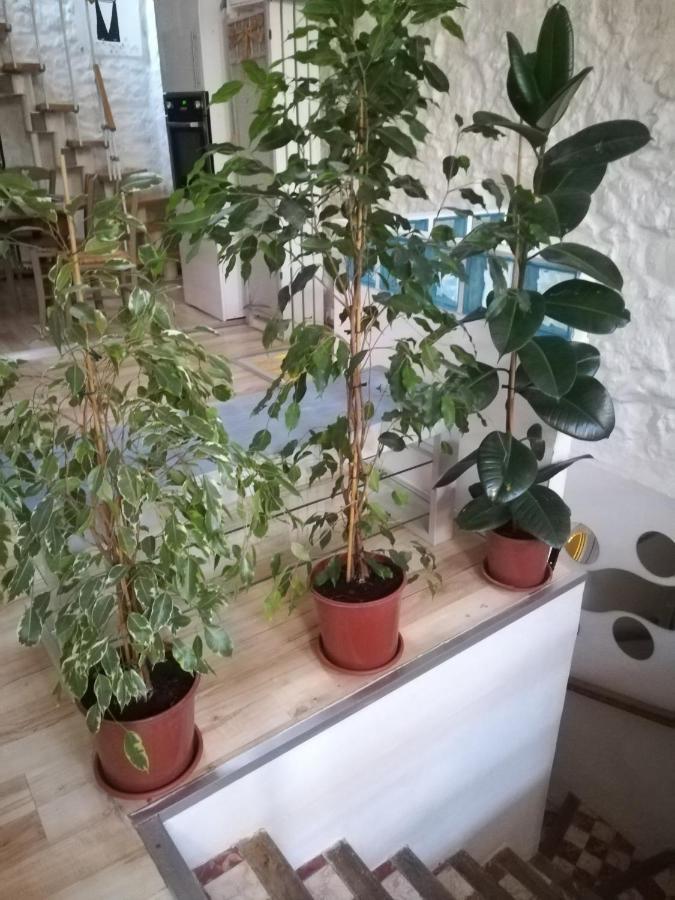 Maison De Ville, Terrasse, Chaleureuse Appartamento Narbona Esterno foto